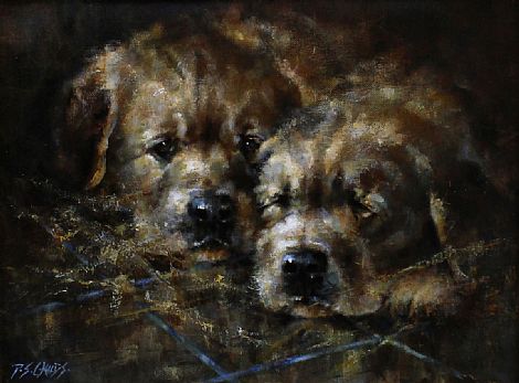 Golden Retrievers Pups by Philip Childs