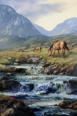 Ponies near Letterfrack, Connemara by Eileen Meagher